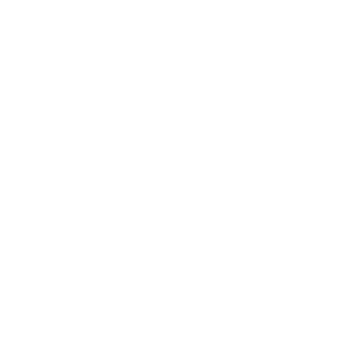 Web Development Icon